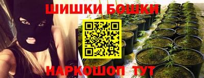 прущие грибы Нальчик