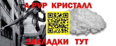 прущие грибы Нальчик