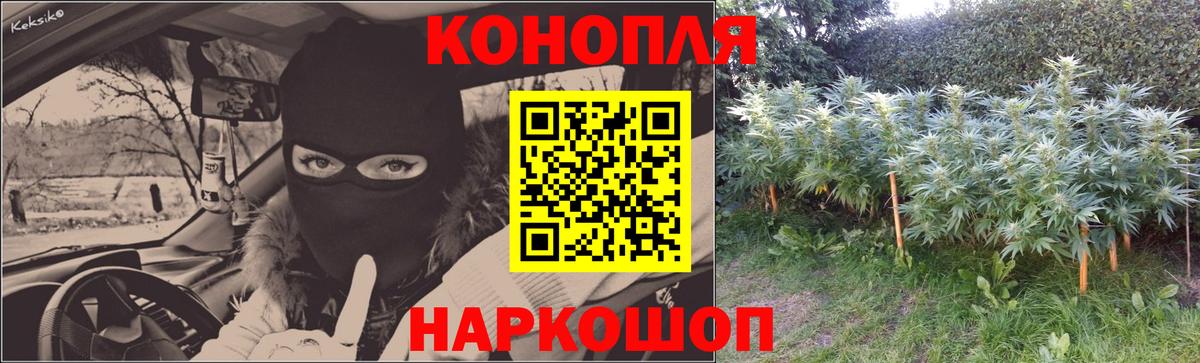 Шишки марихуана Bruce Banner  Бошки марихуана SATIVA & INDICA  Марихуана конопля  Томск  Вход с VPN 